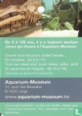 Aquarium Muséum Liège - Afbeelding 2