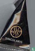 Singularis - Image 1