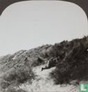 Creeping on the enemy over the sand dunes, British contingent in Belgium.  - Image 2