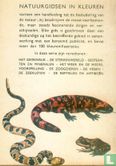 Natuurgids voor de reptielen en amfibieën  - Bild 2
