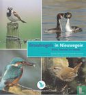 Broedvogels in Nieuwegein - Bild 1