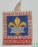 Participants badge 6th World Jamboree - Bourgogne