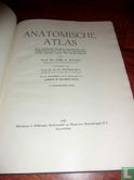 Anatomische atlas - Afbeelding 3