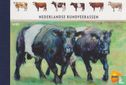 Dutch Cattle Breeds - Image 1
