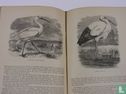 The illustrated natural history - Image 3