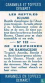 De kamhagedis - Bild 2
