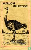 Autruche Struisvogel - Afbeelding 1