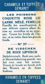 De roze lipvisch