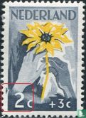 The Netherlands helps the Indies (P1) - Image 1