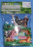 Animal Kingdom - Image 2