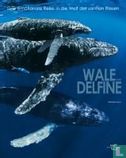 Wale und Delfine - Bild 1
