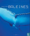Baleines