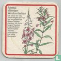Schmal blättriges Weidenröschen