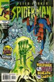 Peter Parker: Spider-Man 3 - Image 1