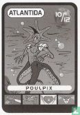 Poulpix - Bild 1