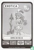 Orchinix - Bild 1