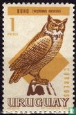 Great horned owl - Image 1