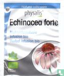 Echinacea forte - Image 1