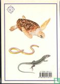 Reptiles et amphibiens - Bild 2