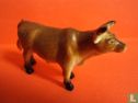 Stier - Afbeelding 1