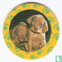 Lovely Puppies VI - Image 1