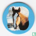 Horses VI - Afbeelding 1