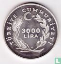 Turkije 3000 lira 1981 (PROOF - met muntteken) "International Year of Disabled People" - Afbeelding 2