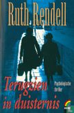 Terugzien in duisternis