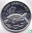 Turkije 10.000.000 lira 2001 (PROOF - type 2) "European pond turtle" - Afbeelding 2