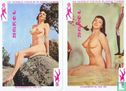 No. 101 Wonderful 54 Models Colour Playing Cards - Image 3
