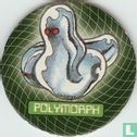 Polymorph - Afbeelding 1