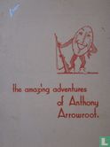 The amazing adventures of Anthony Arrowroot - Afbeelding 1