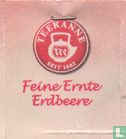 Feine Ernte Erdbeere - Image 3