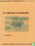 De kemphaan in Nederland - Afbeelding 1