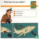 Wilde dieren: Welke haai is het gevaarlijkst? - Image 1