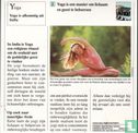 Kunst, Sport en Vrije tijd: Wat is Yoga? - Bild 2