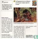 Volken van de wereld: Waar leven de Pygmeeën? - Afbeelding 2