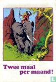 Tarzan 8 - Bild 2