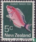 Scarlet Parrot Fish - Image 1