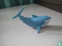 Shark - Image 2