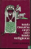 Irish druids and old Irish religions - Afbeelding 1