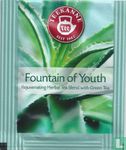 Fountain of Youth - Bild 1