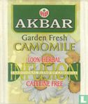 Camomile - Afbeelding 1