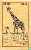 Girafe Giraf - Bild 1
