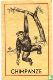 Chimpanze - Afbeelding 1