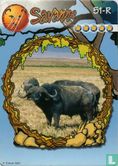 Buffel - Afbeelding 1