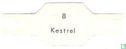 Kestrel - Image 2