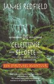 De Celestijnse belofte - Bild 1