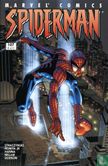 Spiderman 107 - Afbeelding 1