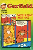 Garfield 4 - Image 1